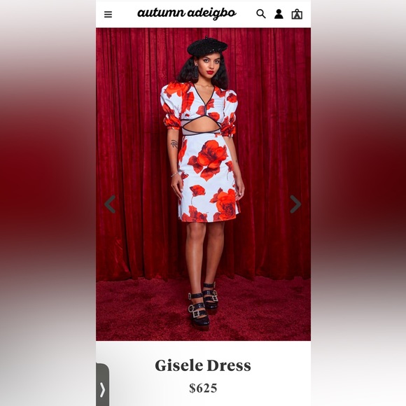 Autumn Adeigbo Gisele Red White Floral Cutout Dress NWT $625 - Picture 12 of 14